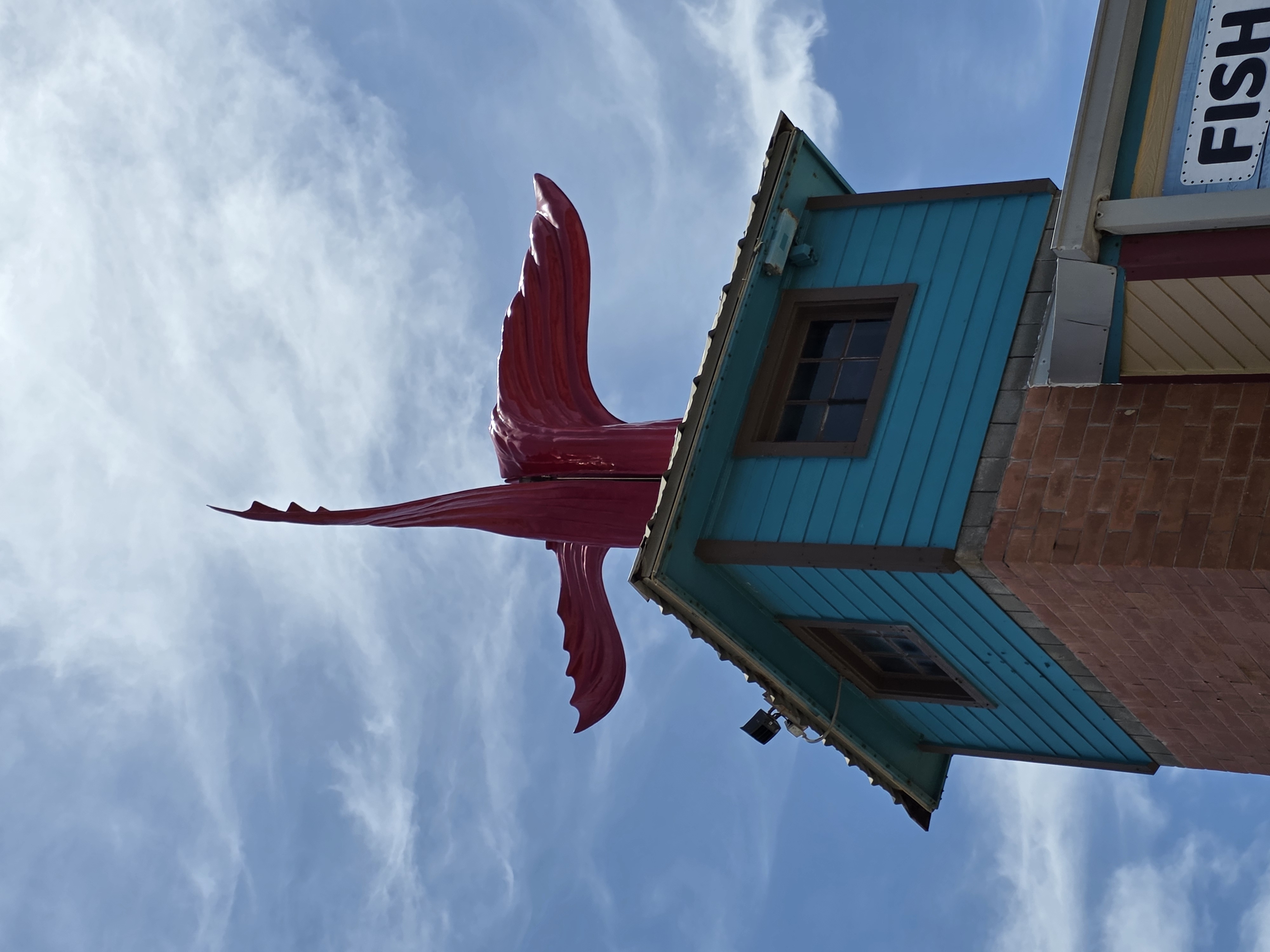 Fish Tales — Rooftop Fish Tail Sculpture